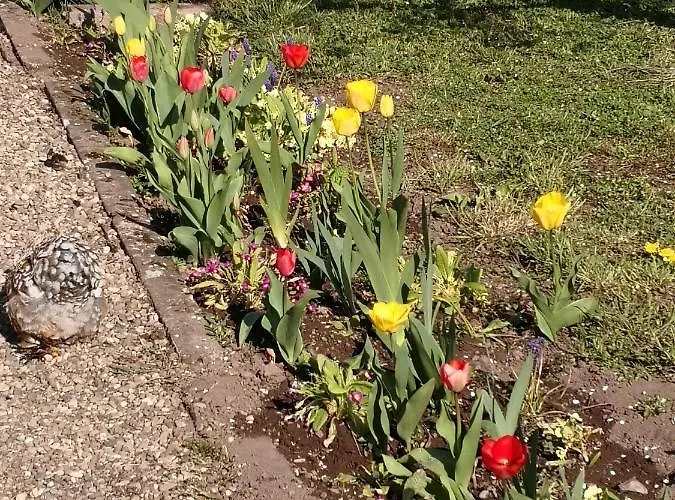 Homestay Le Luspel *